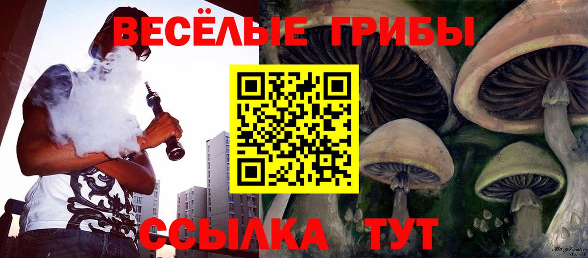 Галлюциногенные грибы Magic Shrooms  Вход с VPN  Калининград 