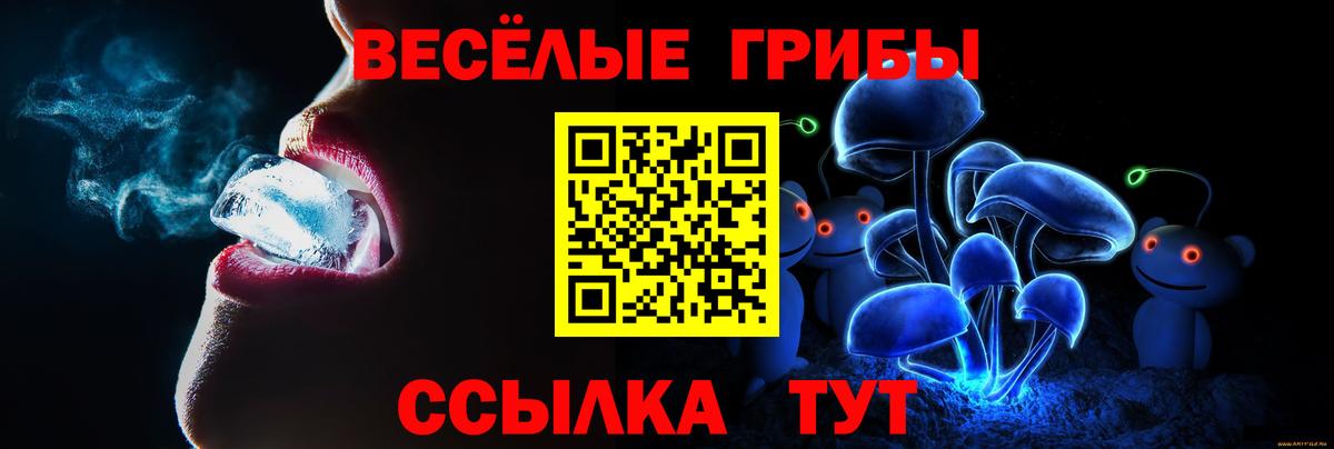 Галлюциногенные грибы Psilocybe Калининград